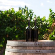Nakar May Musts Wine tasting Mallorca