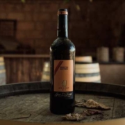 Nakar hotel - Discover Mallorca’s Wine Tradition Best Bodegas and Wineries