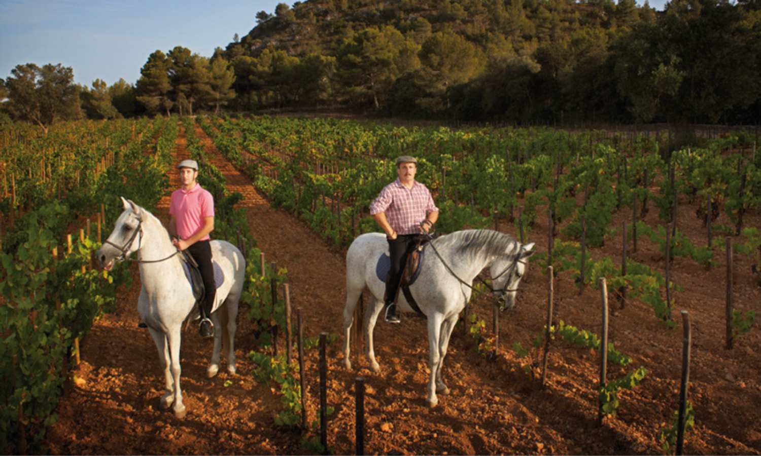 Nakar hotel - Discover Mallorca’s Wine Tradition_ Best Bodegas and Wineries - 4 kilos vinícola Wein