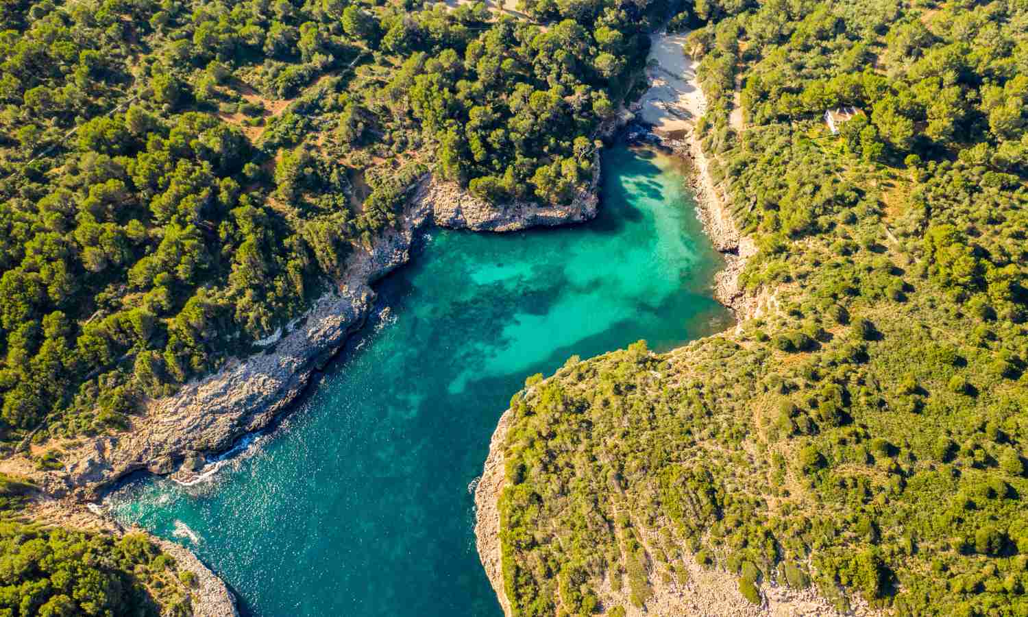 Nakar hotel Mallorca - Palma guide - Hidden coves in Mallorca - Cala Mitjana calas escondidas Mallorca