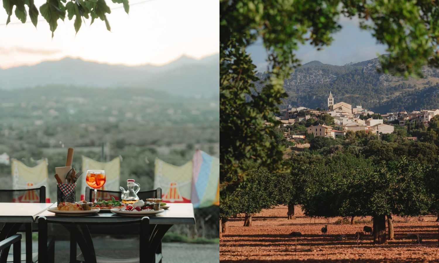 Blog Nakar Hotel Palma Guide - Discover Caimari & the olive route caimari pueblo