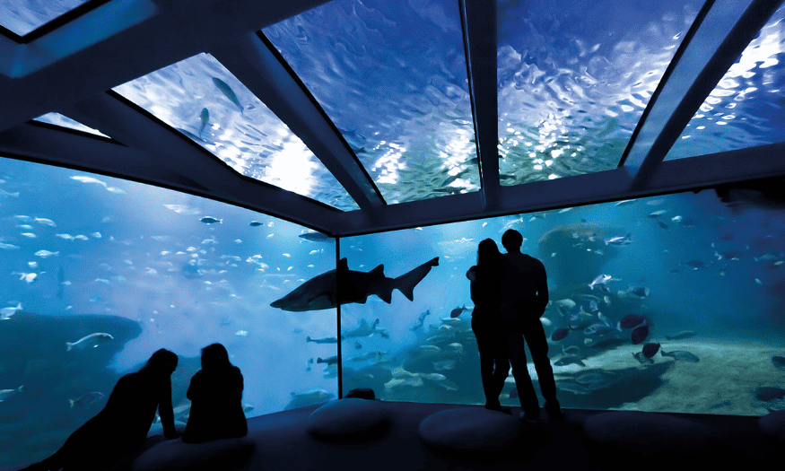 nakar hotel palma family friendly plans palma aquarium